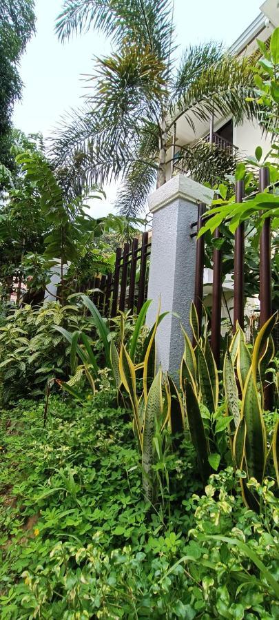Layang Layang Home El Nido Eksteriør billede